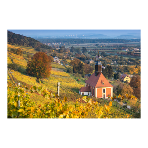 Acryl Board (00745) Weinbergkirche im Herbst