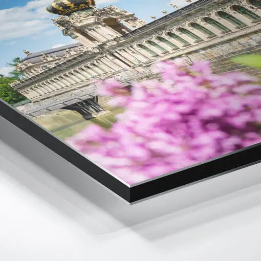 Alu-Dibond (00781) Dresdner Zwinger mit Flieder – Bild 3