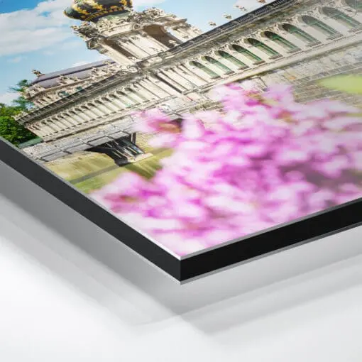 Alu-Dibond (00781) Dresdner Zwinger mit Flieder – Bild 4