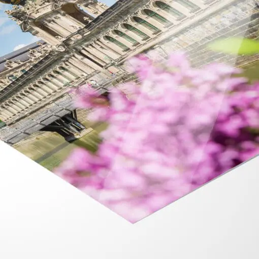 Fotoabzug (00781) Dresdner Zwinger mit Flieder – Bild 2