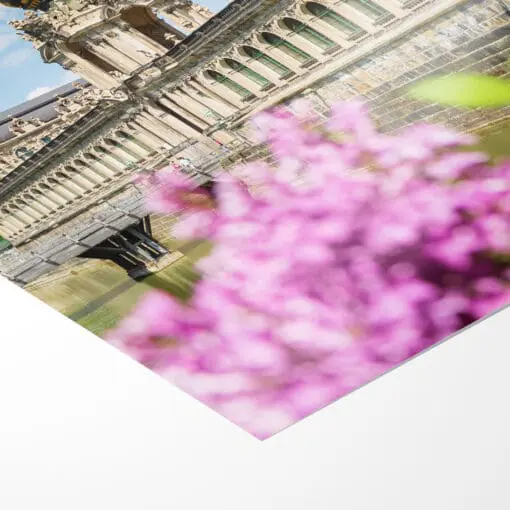 Fotoabzug (00781) Dresdner Zwinger mit Flieder – Bild 3