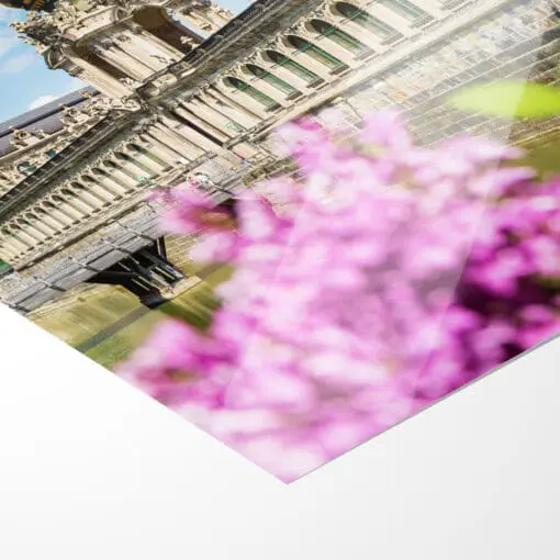 Fotoabzug (00781) Dresdner Zwinger mit Flieder – Bild 4