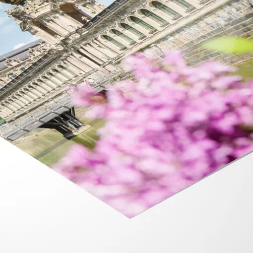 Fotoabzug (00781) Dresdner Zwinger mit Flieder – Bild 5