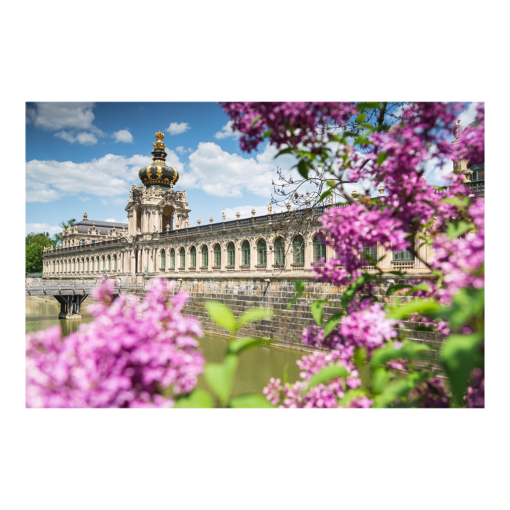 Alu-Dibond (00781) Dresdner Zwinger mit Flieder