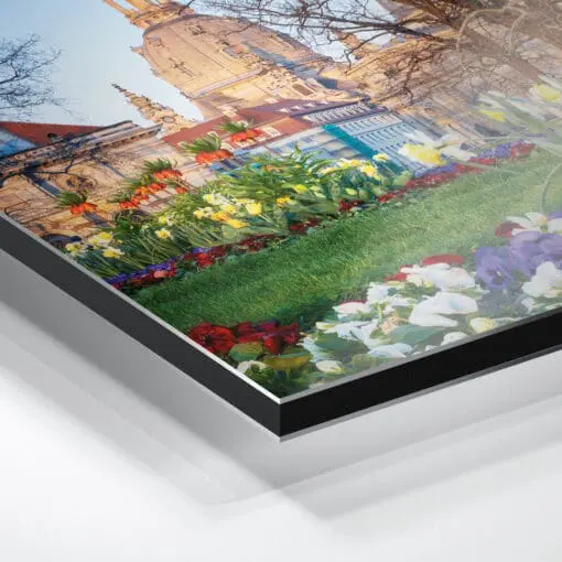 Alu-Dibond (00785) Frühling mit Frauenkirche – Bild 2