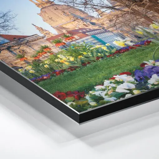 Alu-Dibond (00785) Frühling mit Frauenkirche – Bild 3