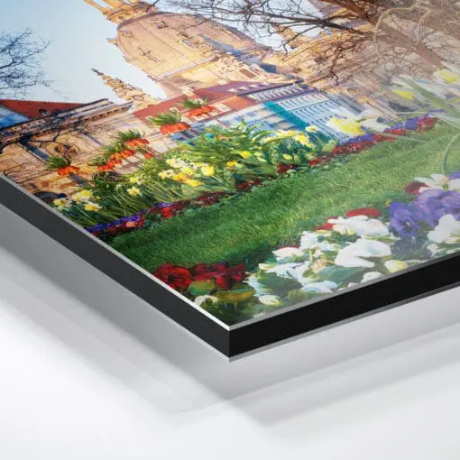 Alu-Dibond (00785) Frühling mit Frauenkirche – Bild 4