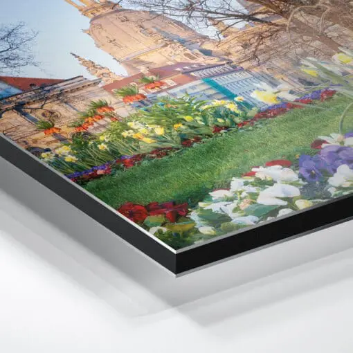 Alu-Dibond (00785) Frühling mit Frauenkirche – Bild 5