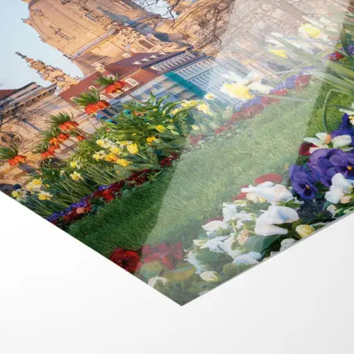 Fotoabzug (00785) Frühling mit Frauenkirche – Bild 2