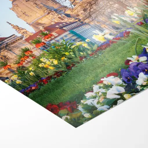 Fotoabzug (00785) Frühling mit Frauenkirche – Bild 3