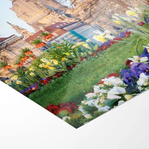 Fotoabzug (00785) Frühling mit Frauenkirche – Bild 5