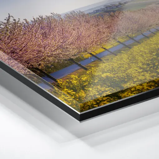 Acryl Board (00789) Sächsische Schweiz im Frühling – Bild 2