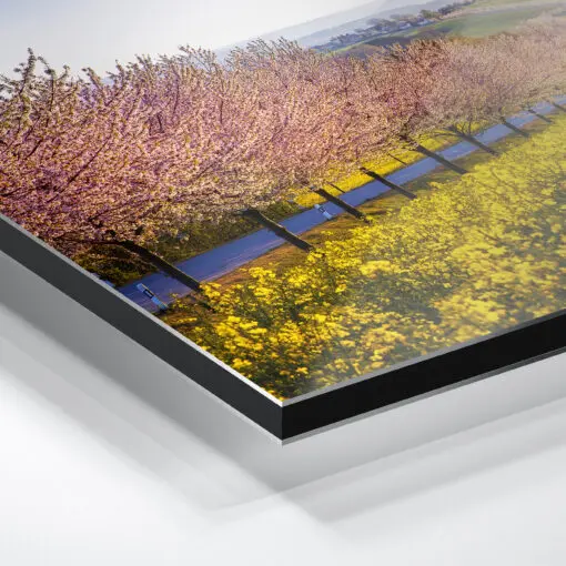 Alu-Dibond (00789) Sächsische Schweiz im Frühling – Bild 4