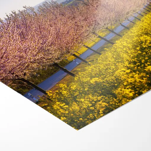 Poster (00789) Sächsische Schweiz im Frühling – Bild 3