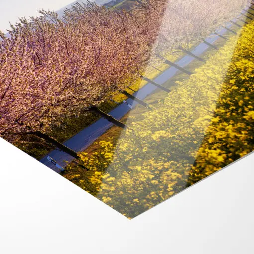 Poster (00789) Sächsische Schweiz im Frühling – Bild 4