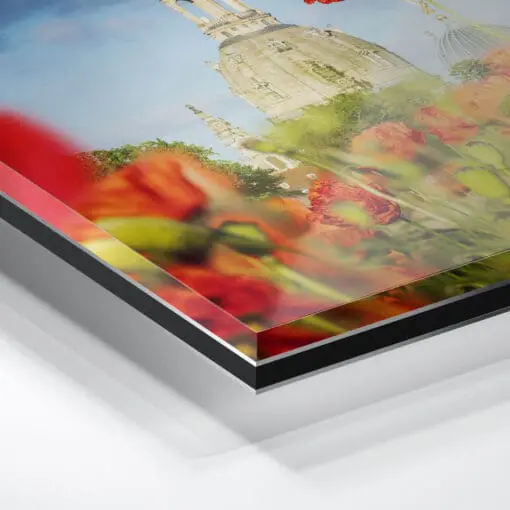 Acryl Board (00802) Mohn mit Frauenkirche – Bild 2