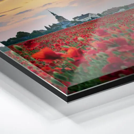 Acryl Board (00807) Mohnfeld zum Sonnenuntergang – Bild 2