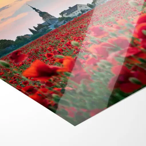 Poster (00807) Mohnfeld zum Sonnenuntergang – Bild 2