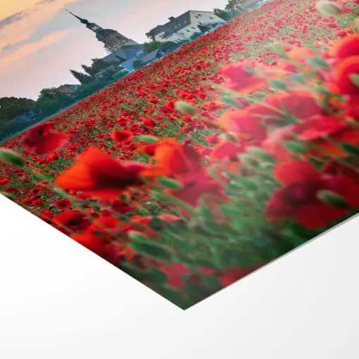 Poster (00807) Mohnfeld zum Sonnenuntergang – Bild 3