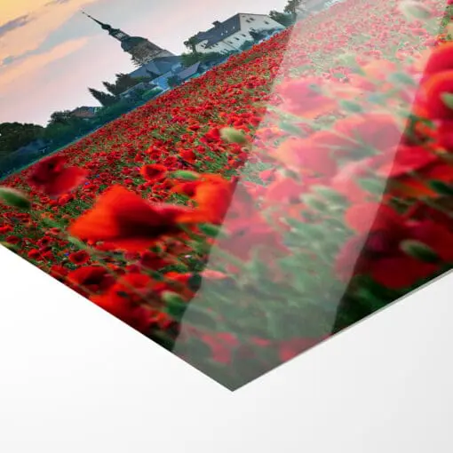 Poster (00807) Mohnfeld zum Sonnenuntergang – Bild 4