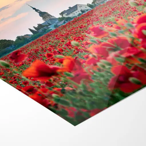 Poster (00807) Mohnfeld zum Sonnenuntergang – Bild 5