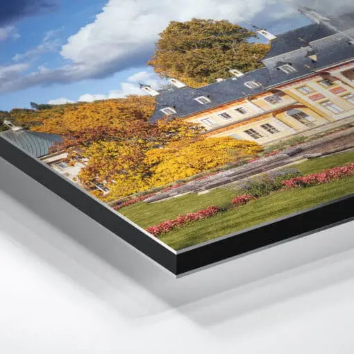 Alu-Dibond (00877) Schloss Pillnitz im Herbst – Bild 3
