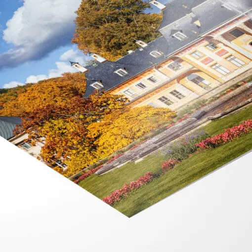 Fotoabzug (00877) Schloss Pillnitz im Herbst – Bild 3