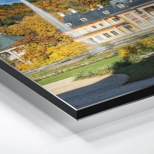Alu-Dibond (00880) Schloss Pillnitz im Herbst – Bild 3