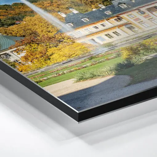 Alu-Dibond (00880) Schloss Pillnitz im Herbst – Bild 5