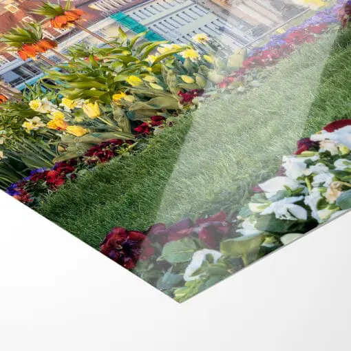 Poster (00912) Frühling an der Frauenkirche – Bild 2