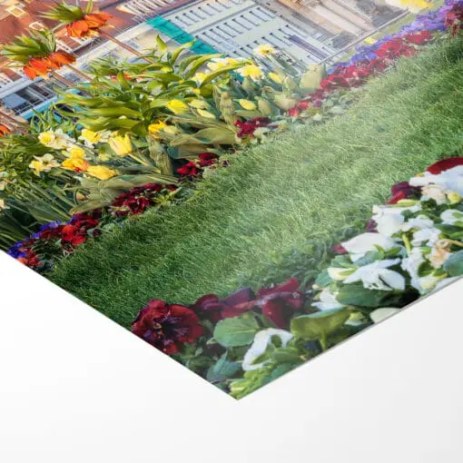Poster (00912) Frühling an der Frauenkirche – Bild 3