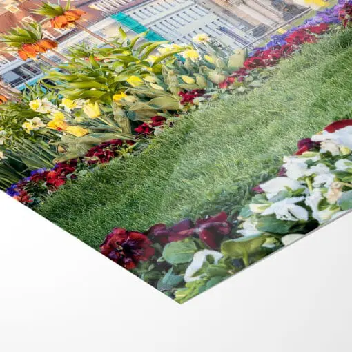 Poster (00912) Frühling an der Frauenkirche – Bild 5