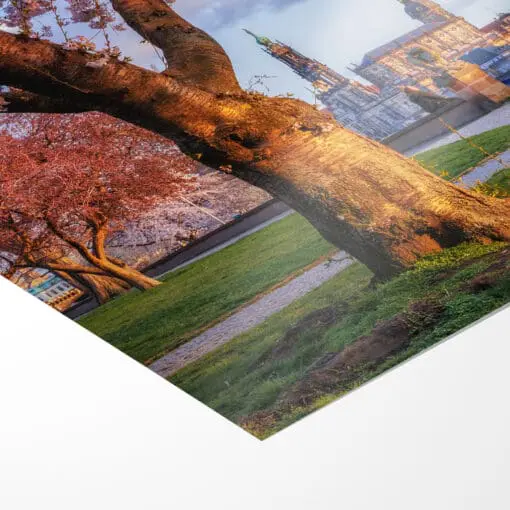 Poster (00915) Frühling am Königsufer – Bild 3