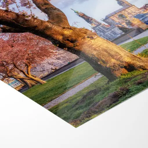 Poster (00915) Frühling am Königsufer – Bild 5