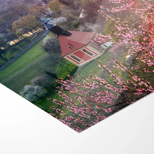 Poster (00919) Weinbergkirche im Frühling – Bild 5