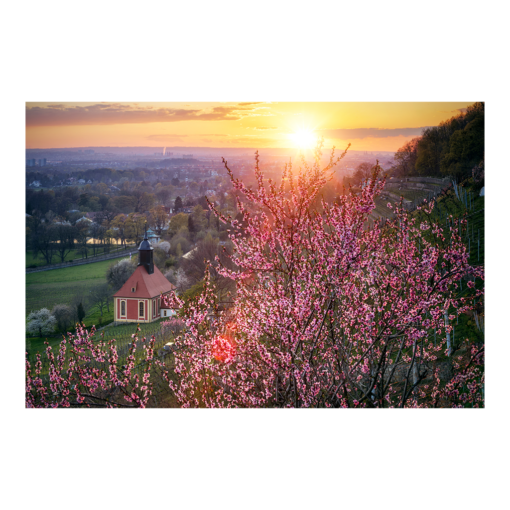 Poster (00919) Weinbergkirche im Frühling