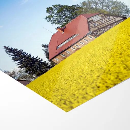 Poster (00935) Bockwindmühle Kottmarsdorf – Bild 5