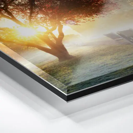 Acryl Board (00989) Großer Garten im Nebel – Bild 2