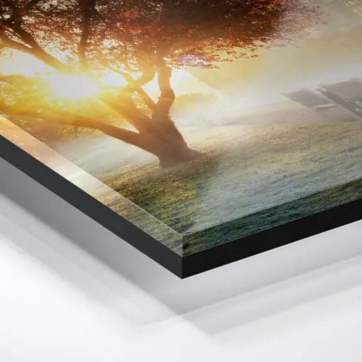 Acryl Board (00989) Großer Garten im Nebel – Bild 3