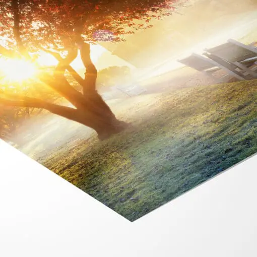 Poster (00989) Großer Garten im Nebel – Bild 3