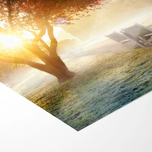 Poster (00989) Großer Garten im Nebel – Bild 5