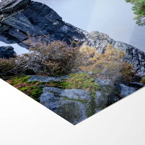 Fotoabzug (01010) Nebel in der Bastei – Bild 5