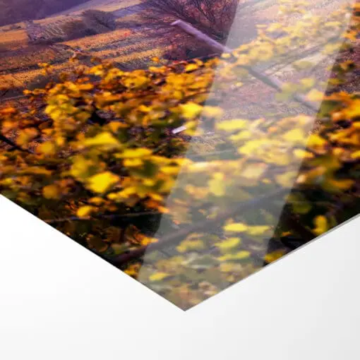 Poster (01019) Weinbergkirche im Herbst – Bild 4