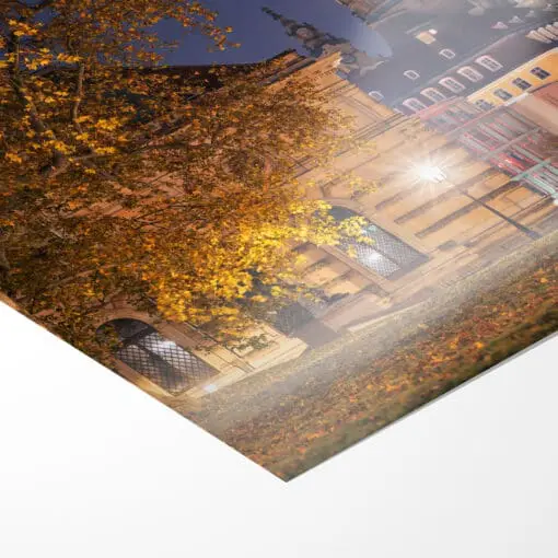 Poster (01020) Brühlscher Garten im Herbst – Bild 3