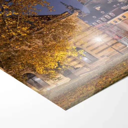 Poster (01020) Brühlscher Garten im Herbst – Bild 5
