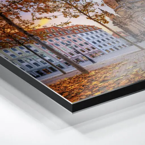 Alu-Dibond (01021) Neumarkt Dresden im Herbst – Bild 2