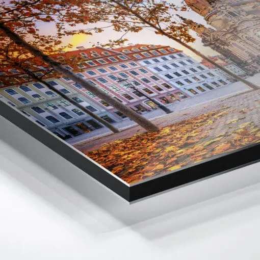 Alu-Dibond (01021) Neumarkt Dresden im Herbst – Bild 4