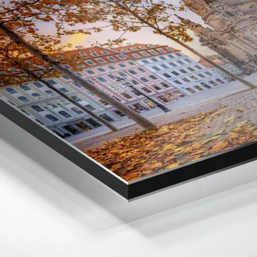 Alu-Dibond (01021) Neumarkt Dresden im Herbst – Bild 5