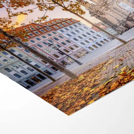 Fotoabzug (01021) Neumarkt Dresden im Herbst – Bild 5