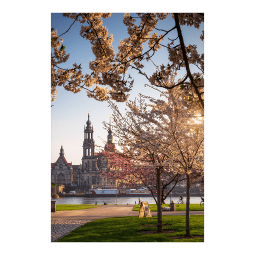 Fotoabzug (01040) Hofkirche im Frühling